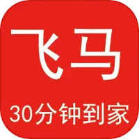 飞马到家