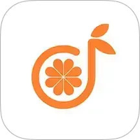 青橙器乐学习网