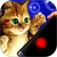 猫咪解压神器盒子