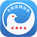 中国信鸽协会