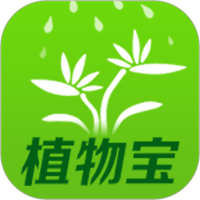 植物宝