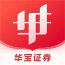 华宝智投