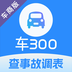 车300专业版