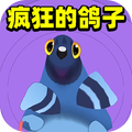 疯狂的鸽子233