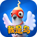 我是一只鸟