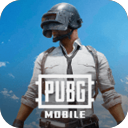 pubg国际服手游