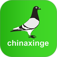 中信网
