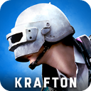 PUBGNEW STATE