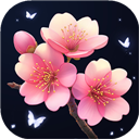 插花小屋