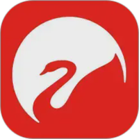 Swan Audio