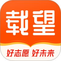 载望志愿