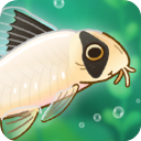 Pondlife