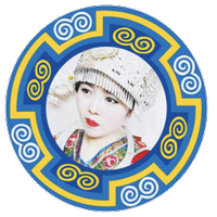 苗太后众联系统