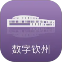数字钦州