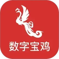 数字宝鸡