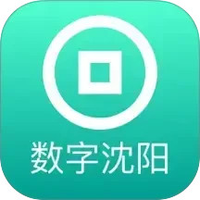 数字沈阳