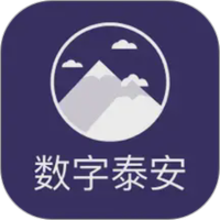 数字泰安