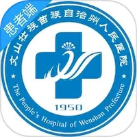 掌上文医