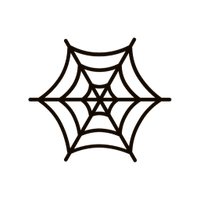 蛛网X