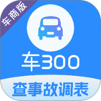 车300专业版