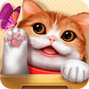 花样猫咪官方正版