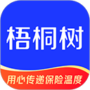 梧桐树