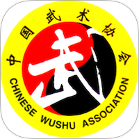 中国武术