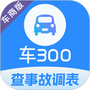 车300专业版