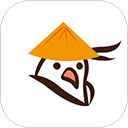 青鸽网