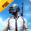 beta pubg mobile国际服