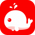 北极海新闻