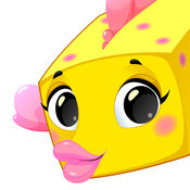 BOXFiSH盒子鱼