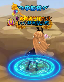 4399神将世界土豪彩(?星彩)解析