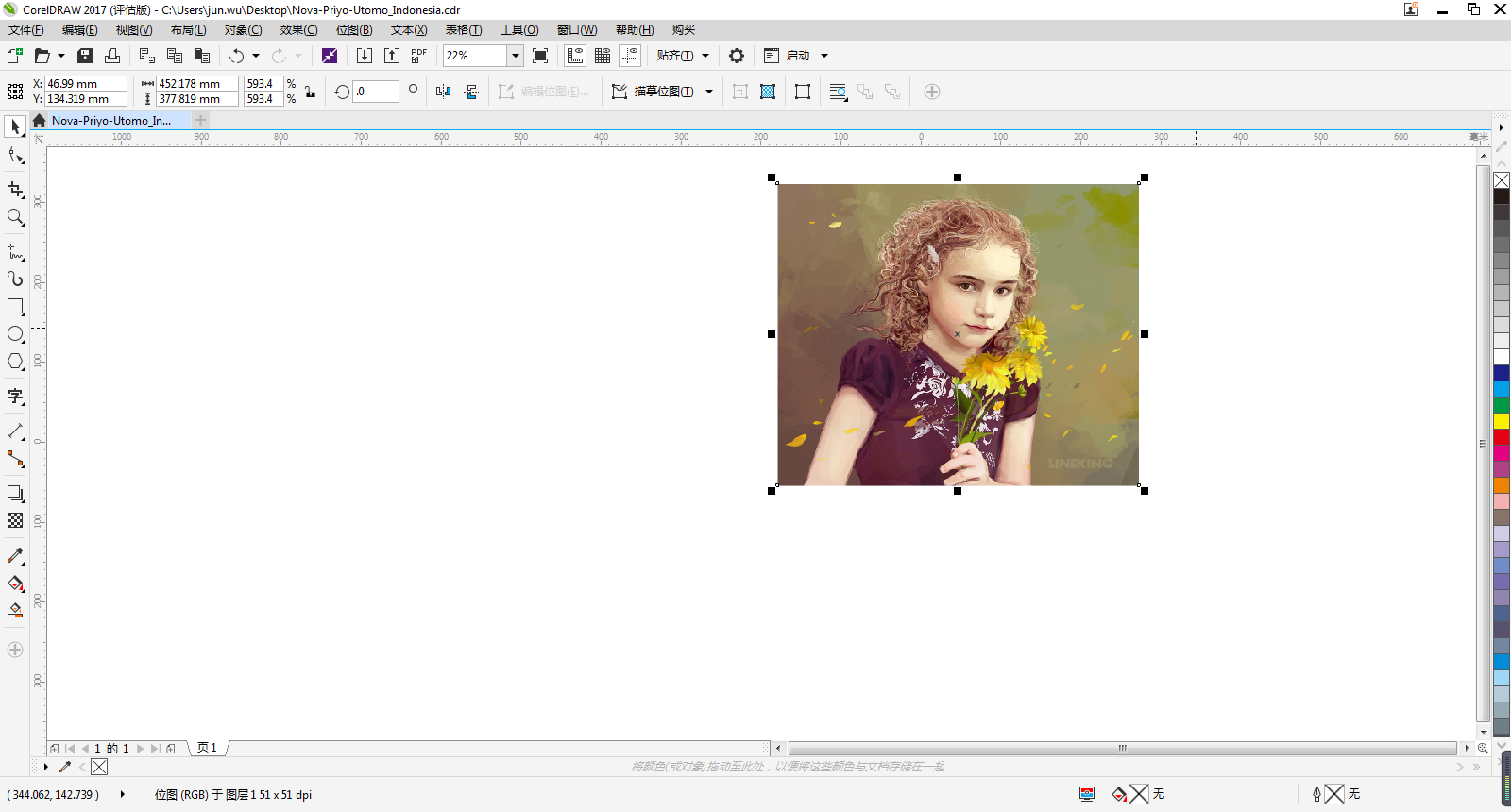 CorelDRAW 2017_图片2