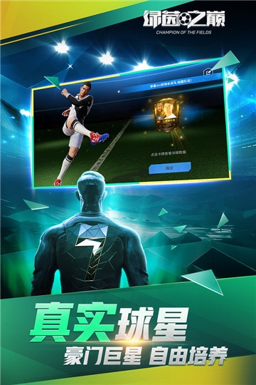 绿茵之巅百度版_图片7
