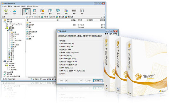 Navicat Premium 64位_图片1