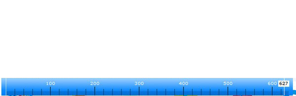 Pixel Ruler_图片1