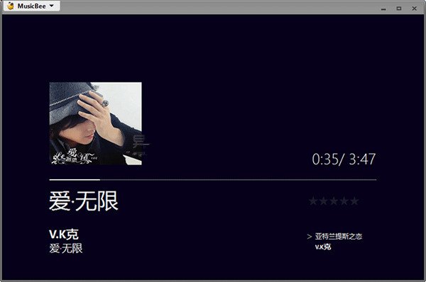 MusicBee_图片2