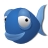 Bluefish