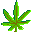 网站信息采集器